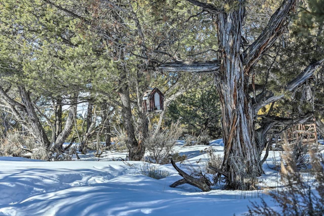 Eagles Landing A Quiet Colorado Mountain Escape Βίλα Εξωτερικό φωτογραφία